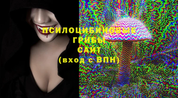стаф Белокуриха