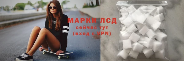 spice Беломорск