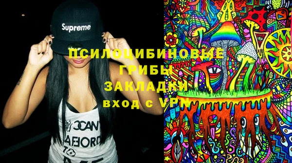 стаф Белокуриха